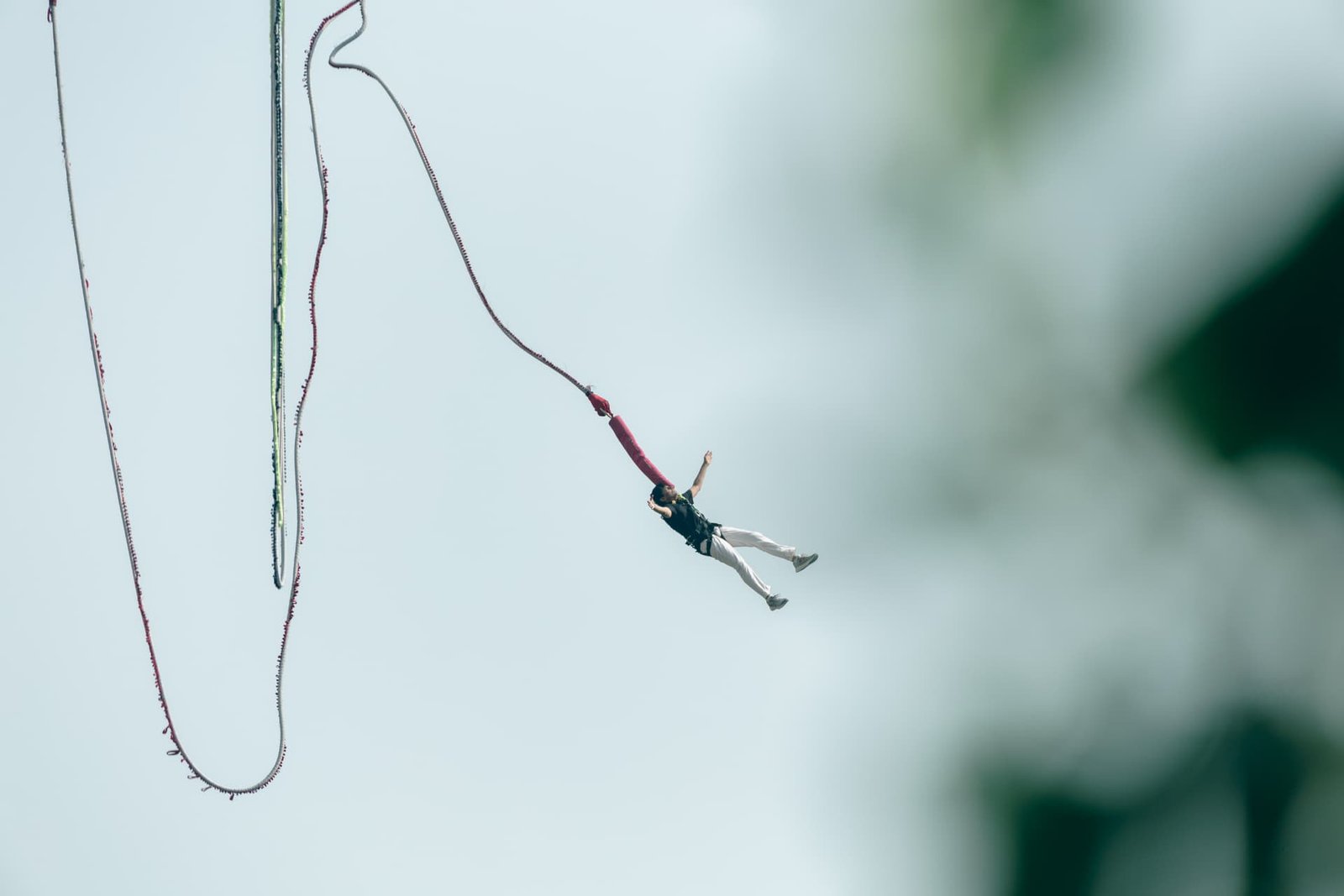 Bunjee jumper hanging from the cord after the 219M jump
